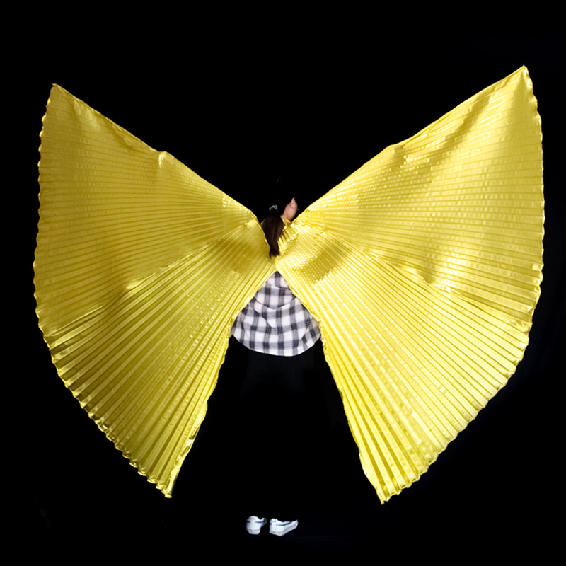 Women Bags In Egypt - Alas de danza del vientre para